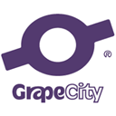 Grapecity placement papers
